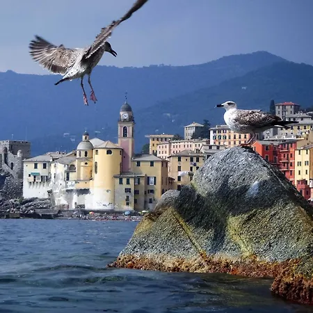 Il Veliero Appartement